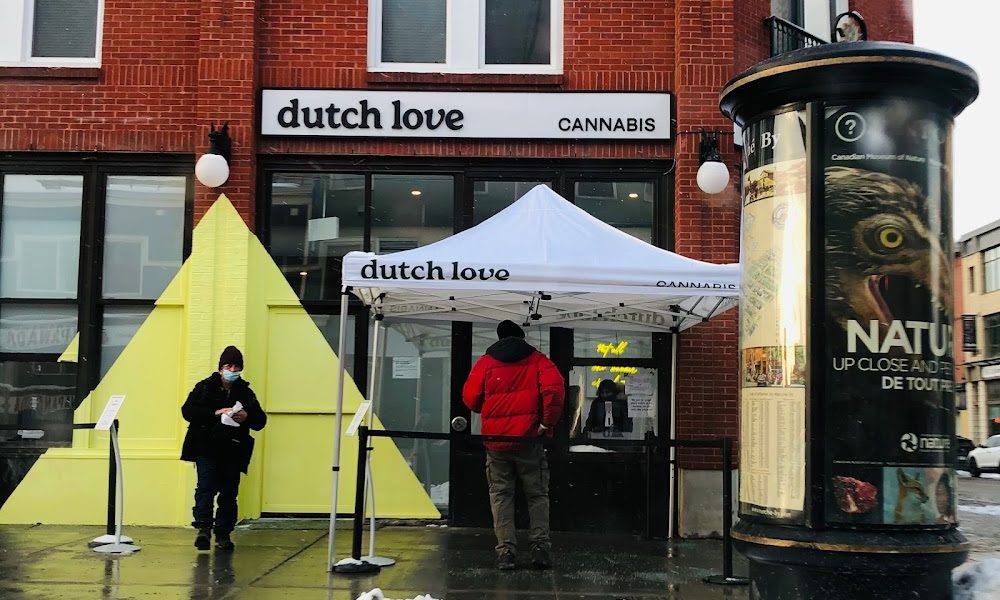 Dutch Love Cannabis